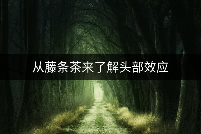 從藤條茶來(lái)了解頭部效應(yīng) 從藤條茶來(lái)了解頭部效應(yīng)