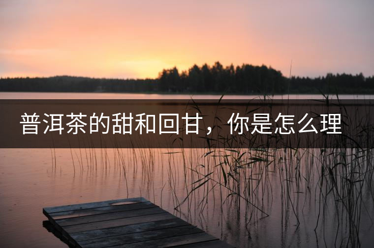 普洱茶的甜和回甘，你是怎么理解的？