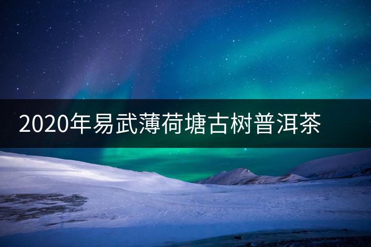 2020年易武薄荷塘古樹(shù)普洱茶特點(diǎn)，價(jià)格又上漲了嗎？