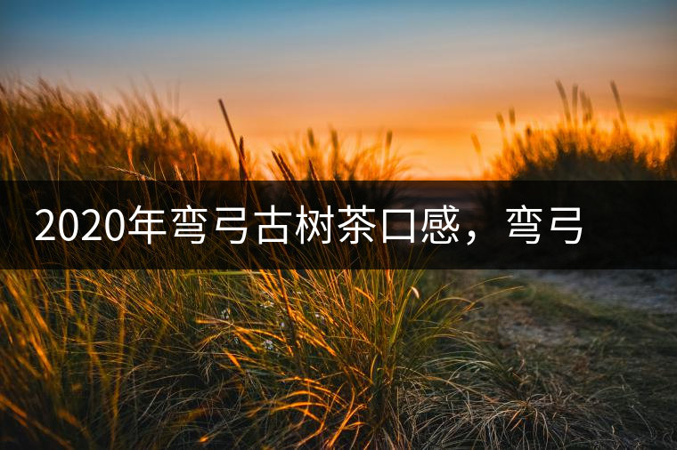 2020年彎弓古樹(shù)茶口感，彎弓普洱茶價(jià)格特點(diǎn)