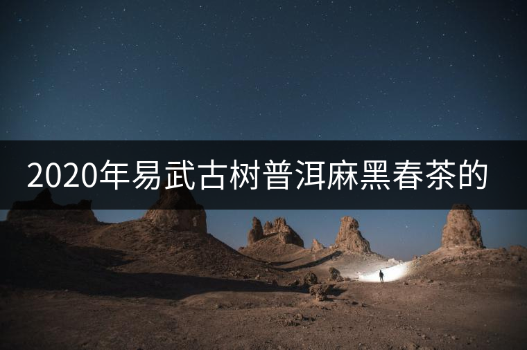 2020年易武古樹普洱麻黑春茶的特點(diǎn) 2020年易武古樹普洱麻黑春茶的特點(diǎn)