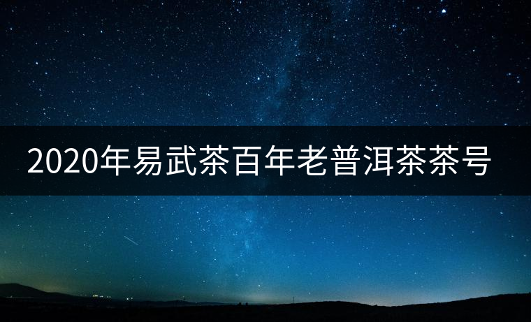 2020年易武茶百年老普洱茶茶號(hào)介紹 2020年易武茶百年老普洱茶茶號(hào)介紹