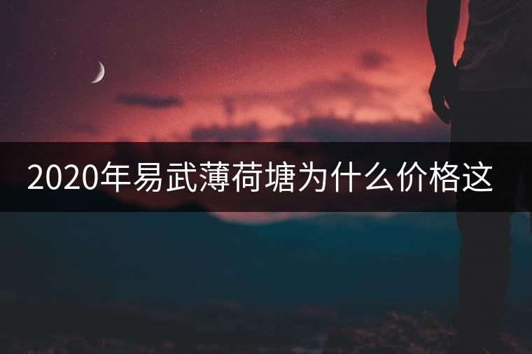 2020年易武薄荷塘為什么價格這么高 2020年易武薄荷塘為什么價格這么高