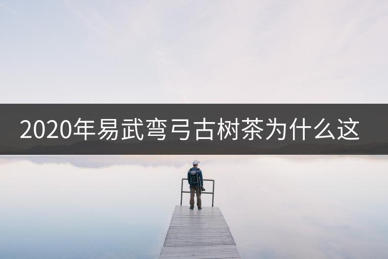 2020年易武彎弓古樹茶為什么這么貴？