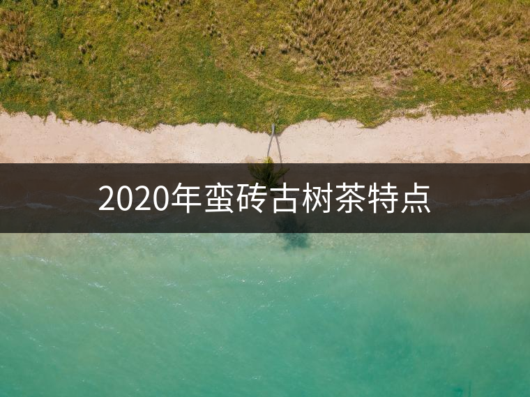 2020年蠻磚古樹茶特點 2020年蠻磚古樹茶特點