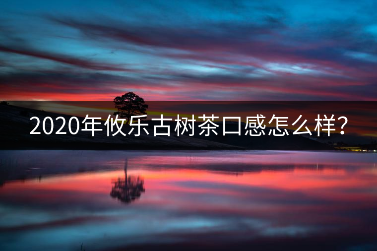 2020年攸樂古樹茶口感怎么樣？