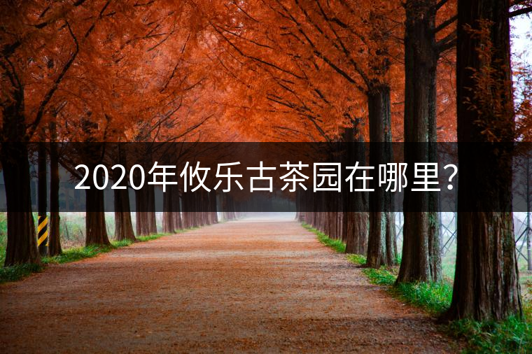 2020年攸樂古茶園在哪里？