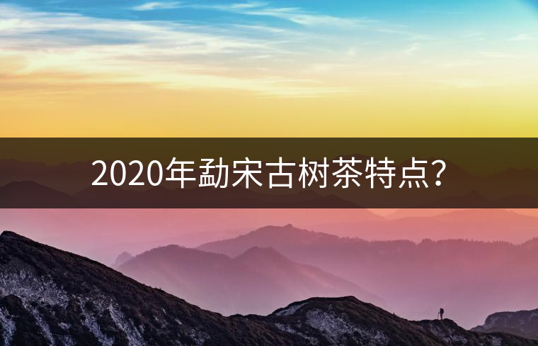 2020年勐宋古樹(shù)茶特點(diǎn)？