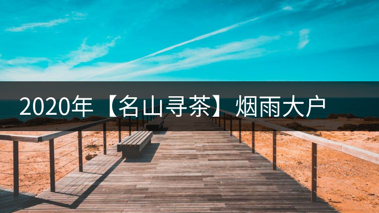 2020年【名山尋茶】煙雨大戶(hù)賽古樹(shù)茶-醉美大戶(hù)賽普洱茶