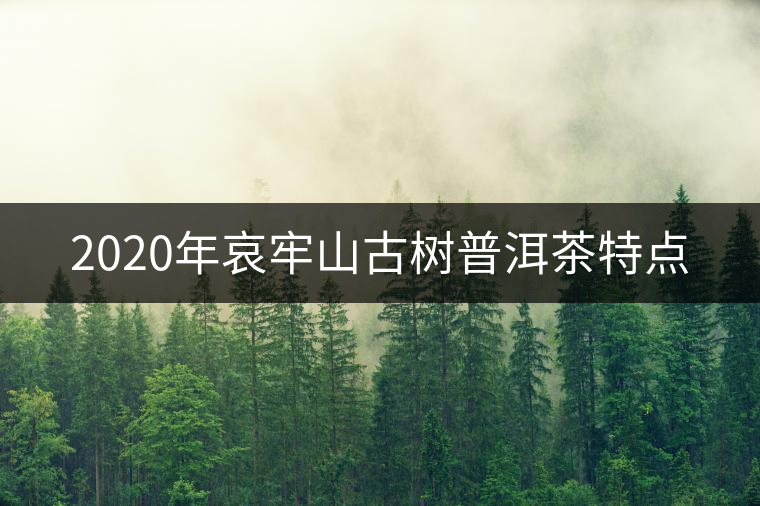 2020年哀牢山古樹普洱茶特點(diǎn) 2020年哀牢山古樹普洱茶特點(diǎn)