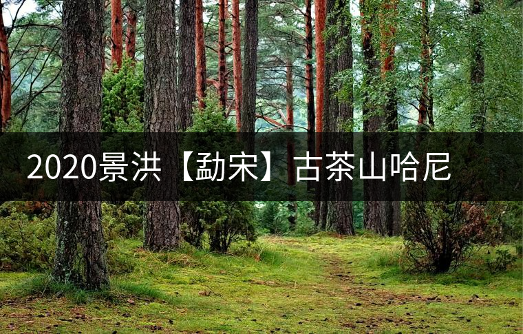 2020景洪【勐宋】古茶山哈尼年“嘎湯帕”圓滿結(jié)束，我們明年見
