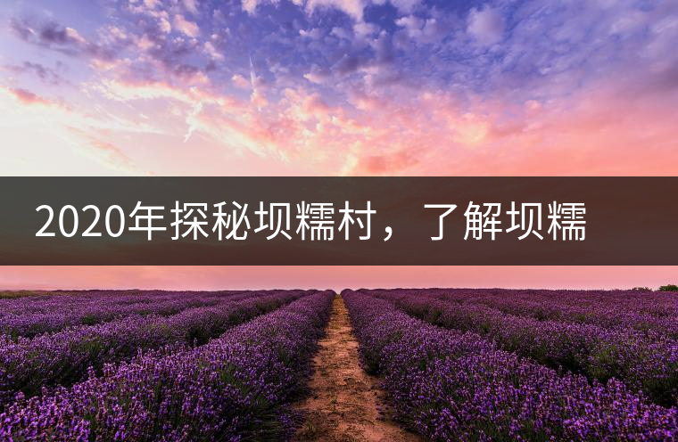 2020年探秘壩糯村，了解壩糯藤條茶的真相