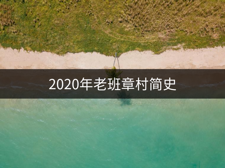 2020年老班章村簡(jiǎn)史