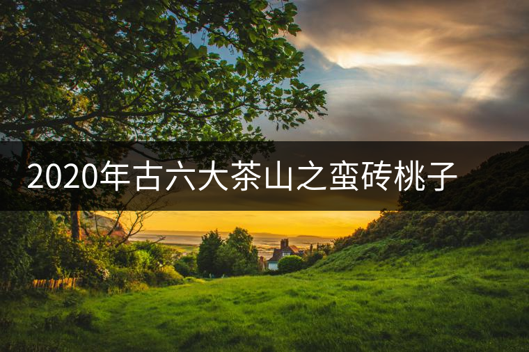 2020年古六大茶山之蠻磚桃子寨古樹茶，瓦龍古樹茶口感與特點(diǎn)