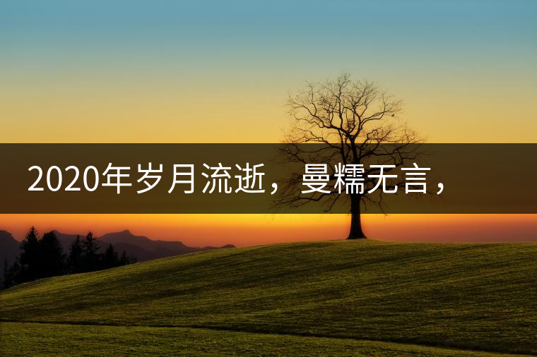 2020年歲月流逝，曼糯無(wú)言，在上茶山探秘