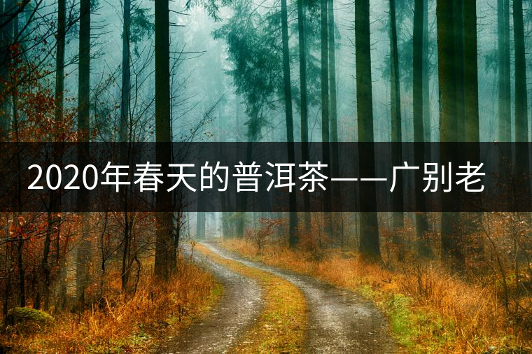 2020年春天的普洱茶——廣別老寨特點(diǎn)介紹 2020年春天的普洱茶——廣別老寨特點(diǎn)介紹