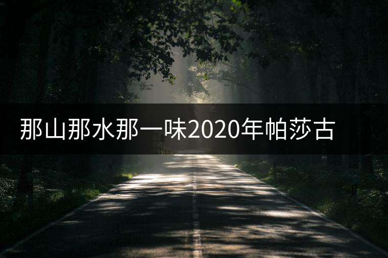那山那水那一味2020年帕莎古樹春茶特點(diǎn)