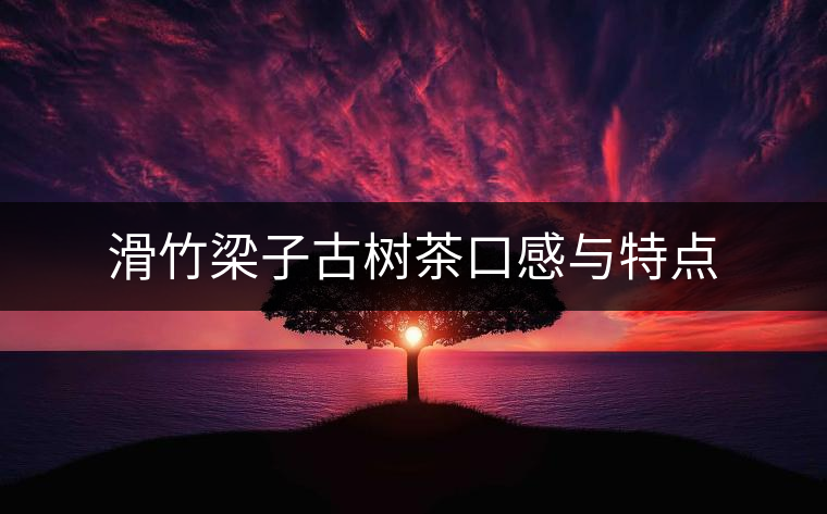 滑竹梁子古樹茶口感與特點(diǎn) 滑竹梁子古樹茶口感與特點(diǎn)