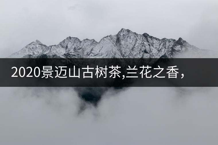 2020景邁山古樹茶,蘭花之香，自然之味