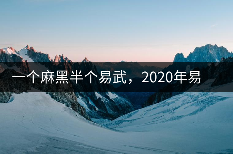 一個麻黑半個易武，2020年易武麻黑古樹春茶介紹