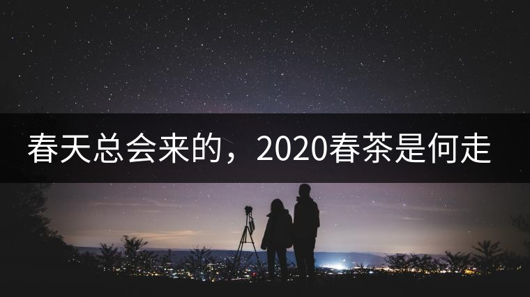 春天總會來的，2020春茶是何走勢？