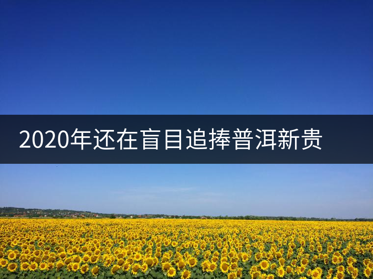 2020年還在盲目追捧普洱新貴“貓耳朵”？我們深入產(chǎn)區(qū)為你揭示最真實的“貓耳朵”！