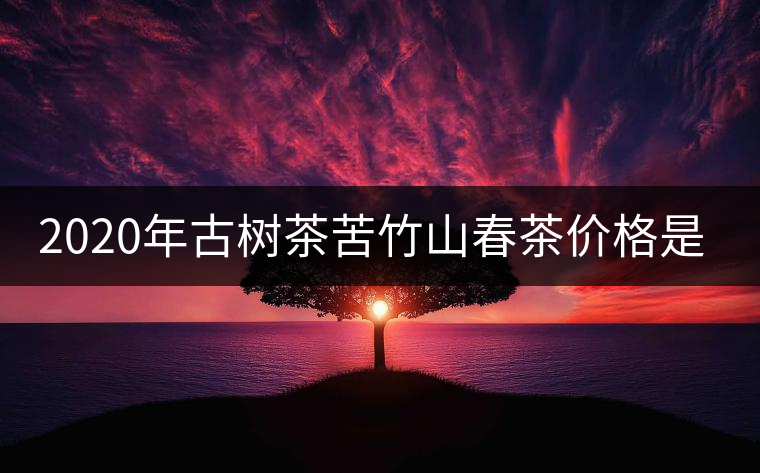 2020年古樹茶苦竹山春茶價格是多少？