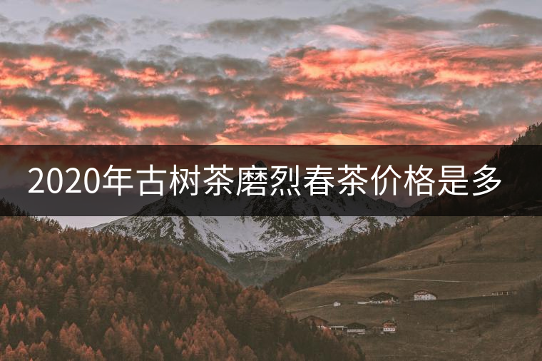 2020年古樹(shù)茶磨烈春茶價(jià)格是多少？