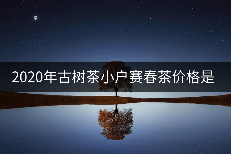 2020年古樹茶小戶賽春茶價格是多少？