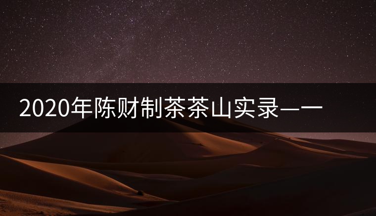 2020年陳財制茶茶山實錄—一手提7山，感受小產(chǎn)區(qū)的奧秘