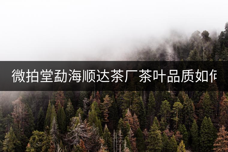 微拍堂勐海順達(dá)茶廠茶葉品質(zhì)如何？