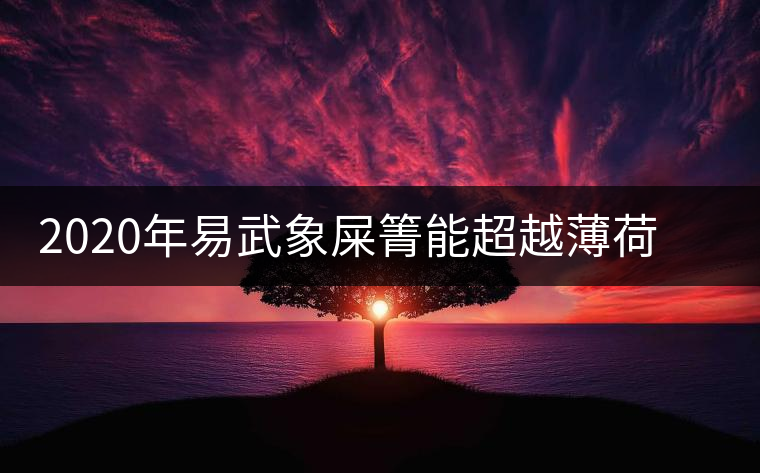 2020年易武象屎箐能超越薄荷塘，比肩哆依樹高桿嗎？