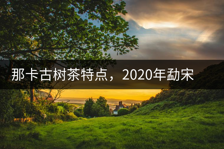 那卡古樹茶特點(diǎn)，2020年勐宋茶區(qū)保塘普洱茶口感