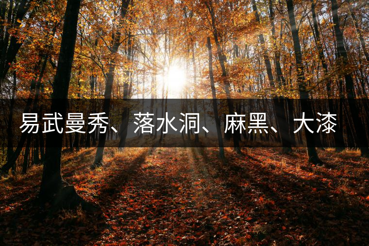 易武曼秀、落水洞、麻黑、大漆樹等你更喜歡哪個茶？