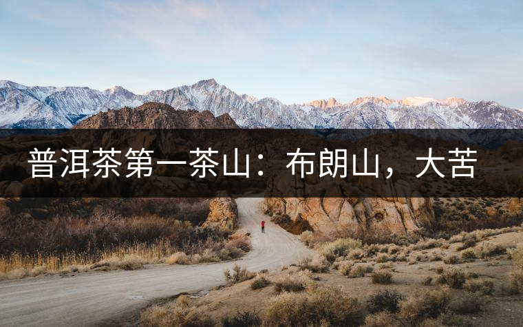 普洱茶第一茶山：布朗山，大苦大甘是它的魂