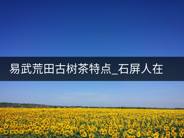 易武荒田古樹(shù)茶特點(diǎn)_石屏人在荒田以茶為生 易武荒田古樹(shù)茶特點(diǎn)_石屏人在荒田以茶為生