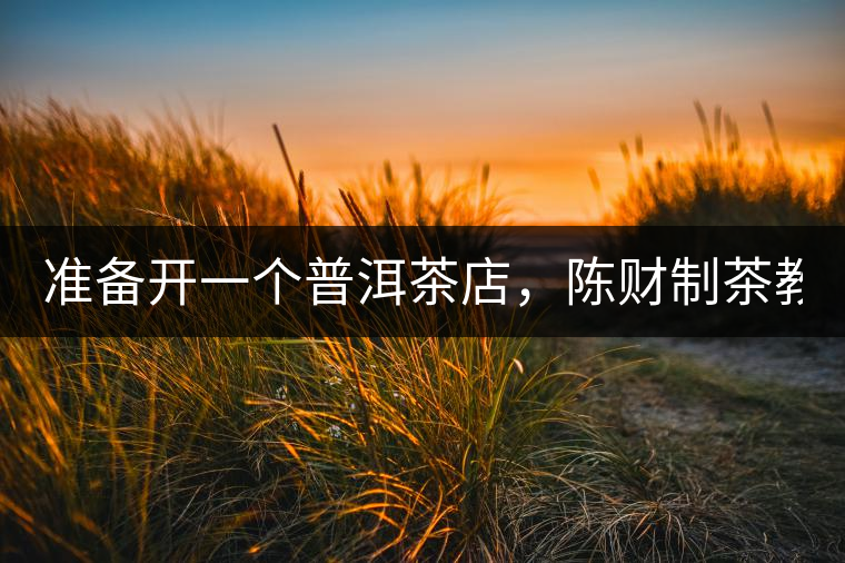 準(zhǔn)備開一個(gè)普洱茶店，陳財(cái)制茶教你怎么做！