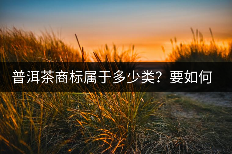 普洱茶商標(biāo)屬于多少類？要如何注冊