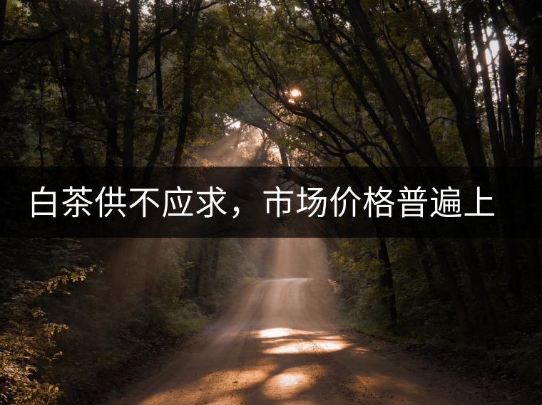 白茶供不應求，市場價格普遍上漲？