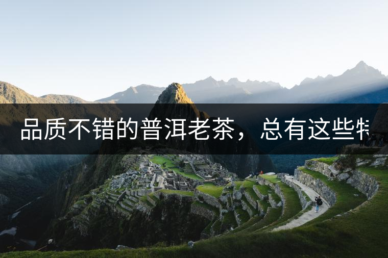 品質(zhì)不錯(cuò)的普洱老茶，總有這些特點(diǎn)！