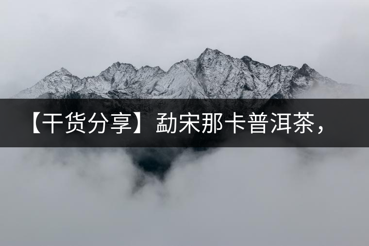 【干貨分享】勐宋那卡普洱茶，不僅僅是小班章那么單純！