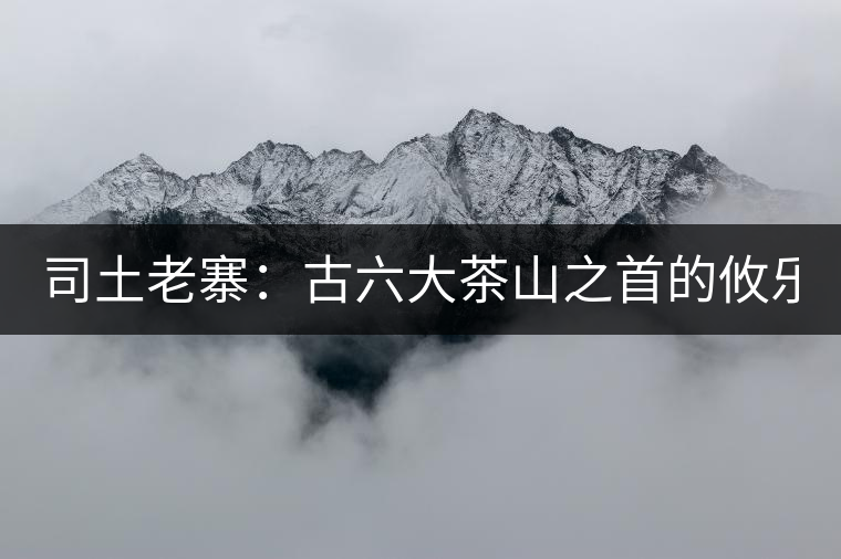 司土老寨：古六大茶山之首的攸樂茶山“古老的大鼓寨子 ”