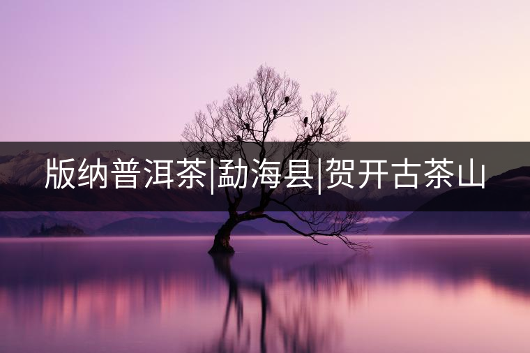 版納普洱茶|勐?？h|賀開古茶山