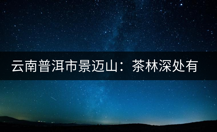 云南普洱市景邁山：茶林深處有人家