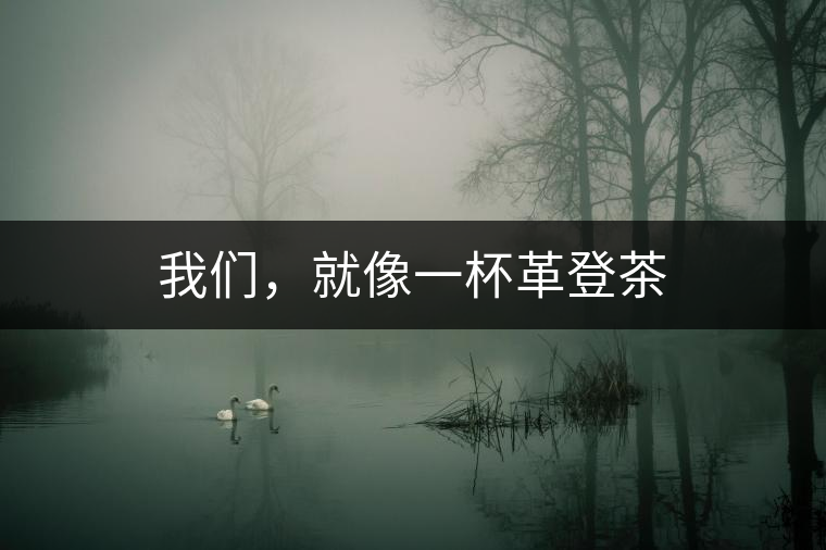 我們，就像一杯革登茶