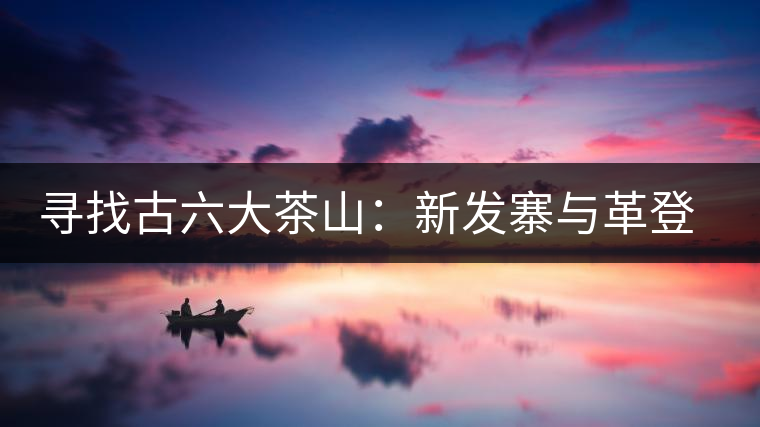 尋找古六大茶山：新發(fā)寨與革登古茶園