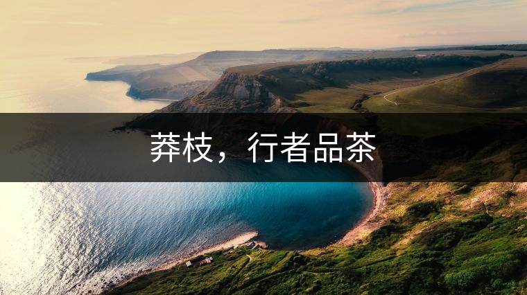 莽枝，行者品茶