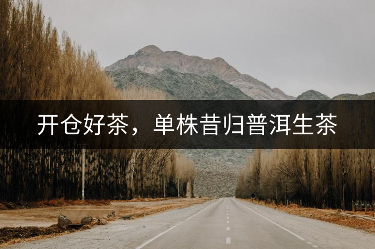 開(kāi)倉(cāng)好茶，單株昔歸普洱生茶