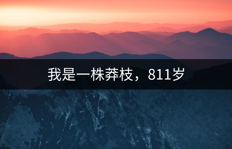 我是一株莽枝，811歲