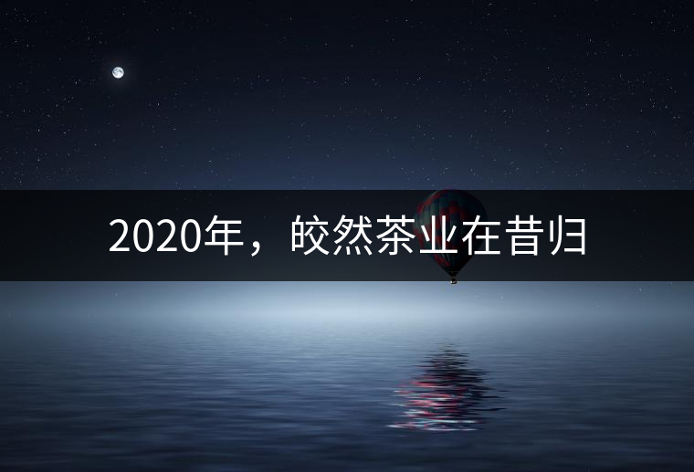 2020年，皎然茶業(yè)在昔歸